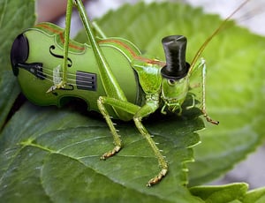 Creative Commons photo illustration by Mark Rain, Flickr